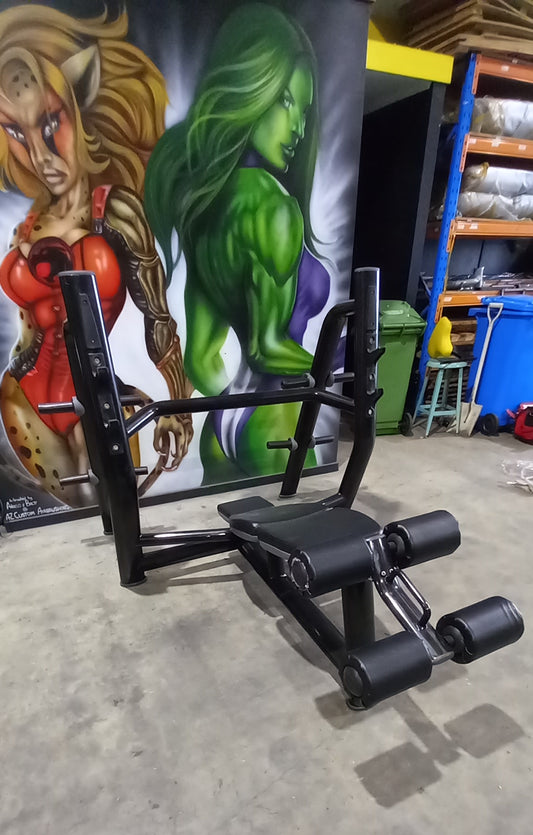EX DEMO DECLINE BENCH PRESS FULL COMMERCIAL.