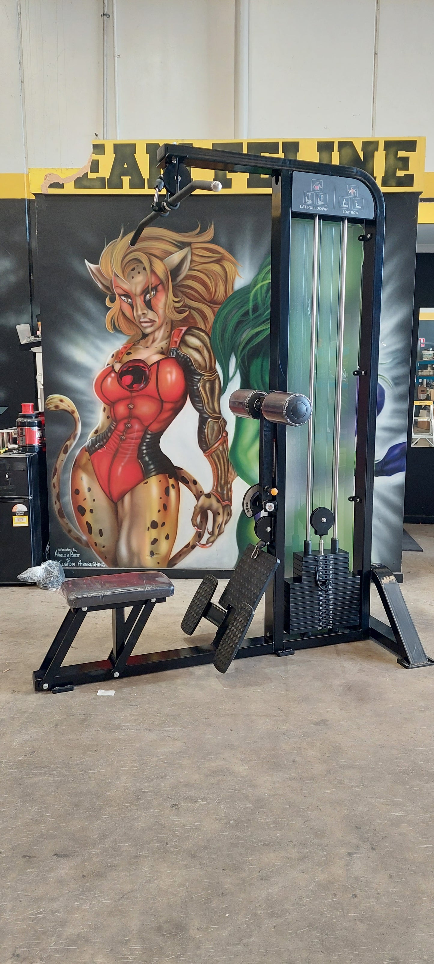 Pro-Line Series Cable Dual Lat Pulldown Low Row