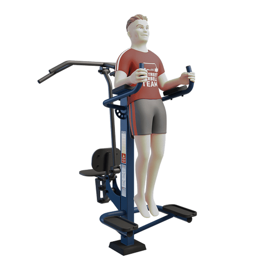 STREETBARBELL OUTDOOR PARK GYM MB 7.03 Combined Pull Down and Leg Raise Station