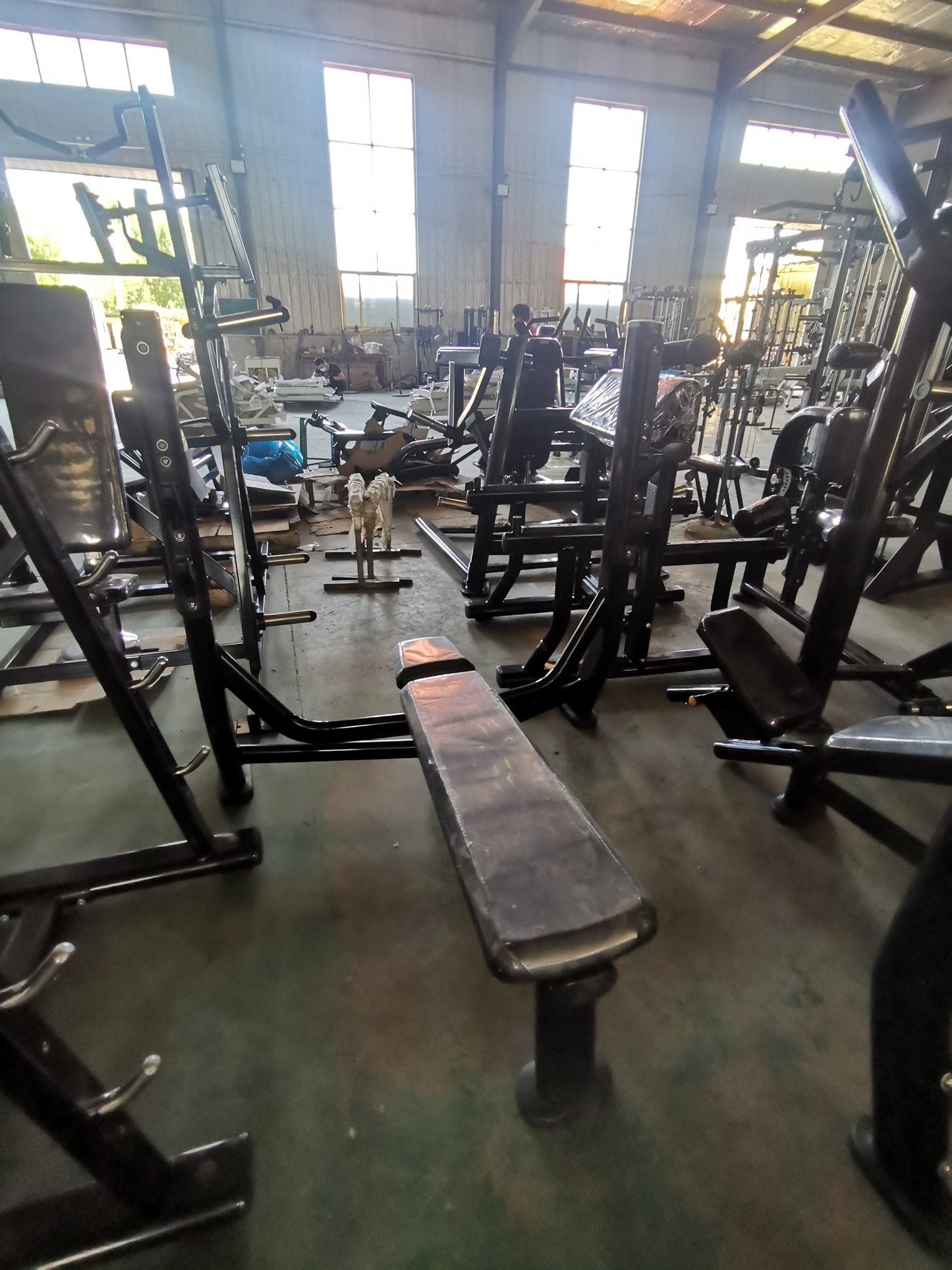 Pro Line Commercial Olympic Flat Bench Press.