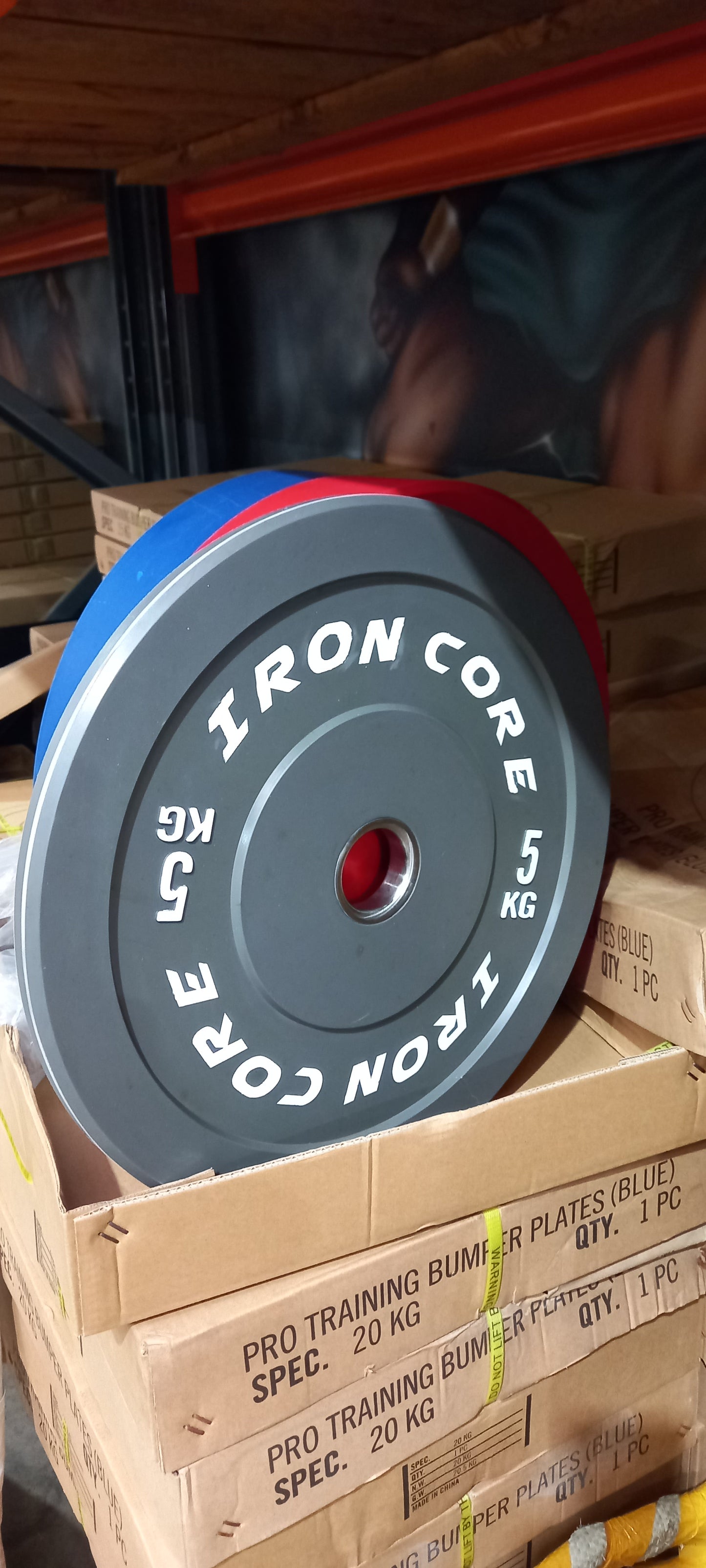 Colour Olympic Bumper Weight Plate 5kg