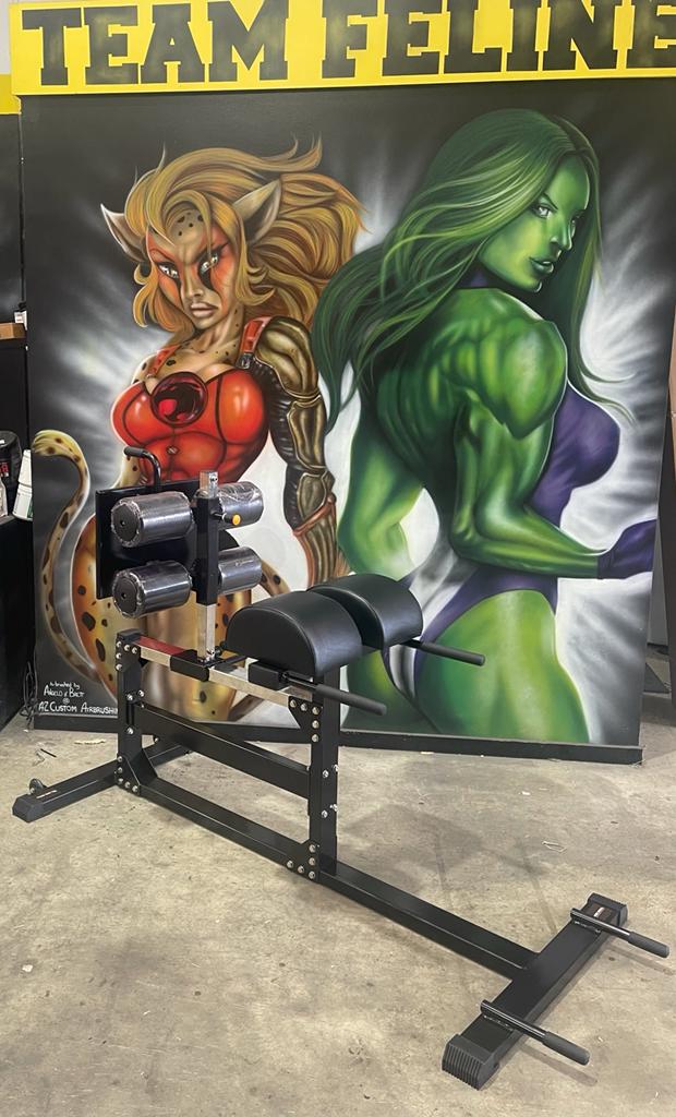 GHD Machine Adjustable Glute Hamstring developer.