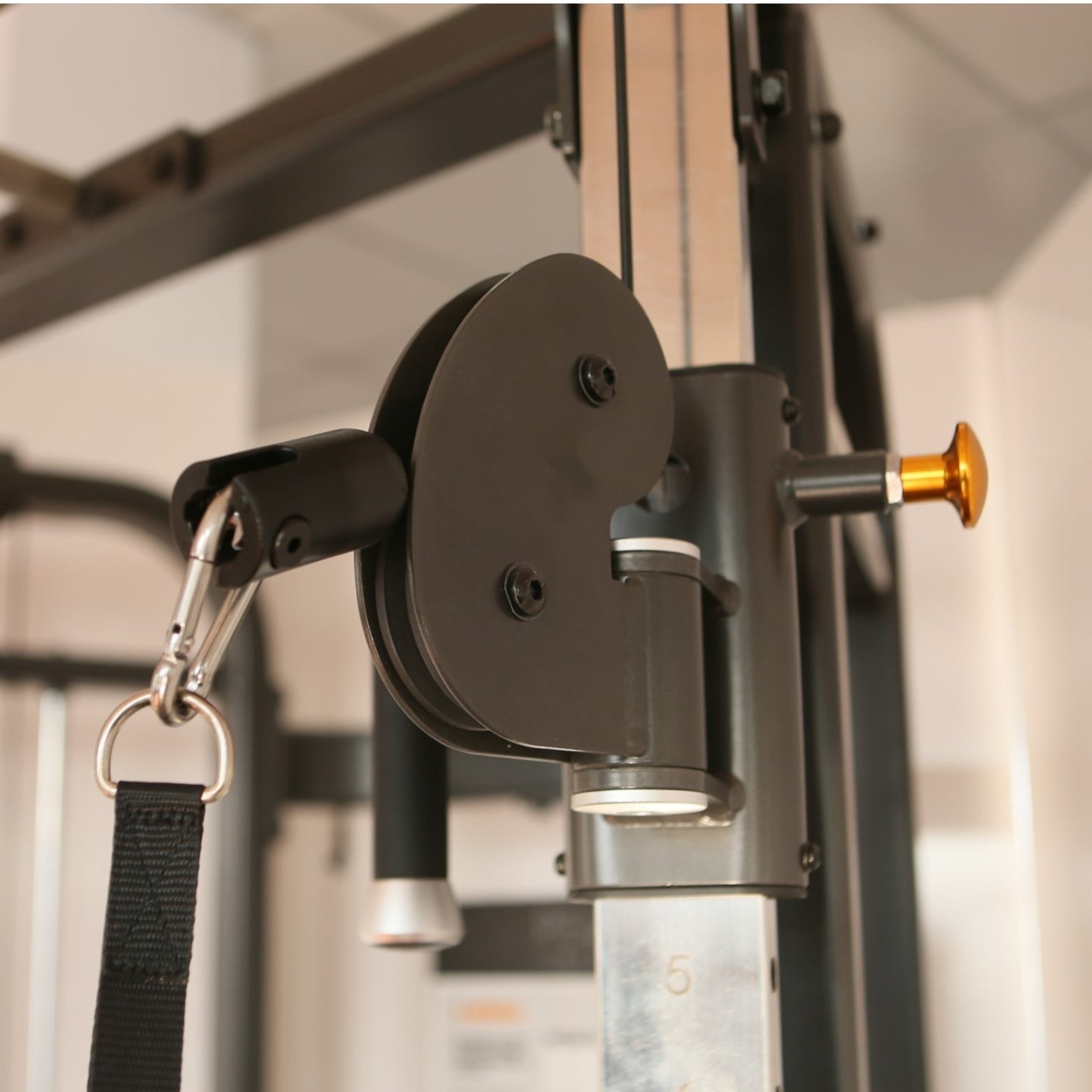 FUNCTIONAL TRAINER DUAL PULLEY