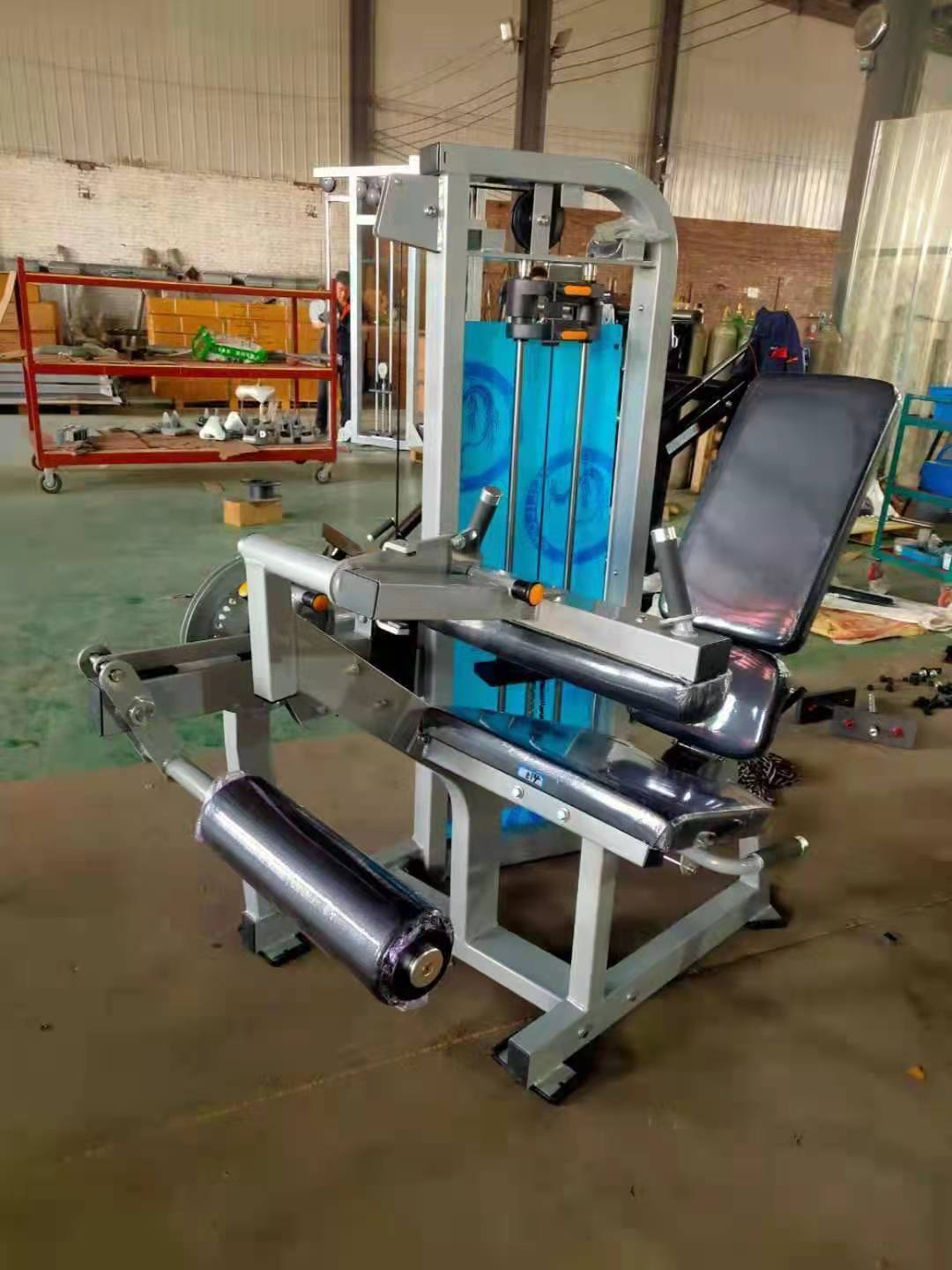 Pro-Line Series Seated Dual Leg Extension Leg Curl Pin Loaded