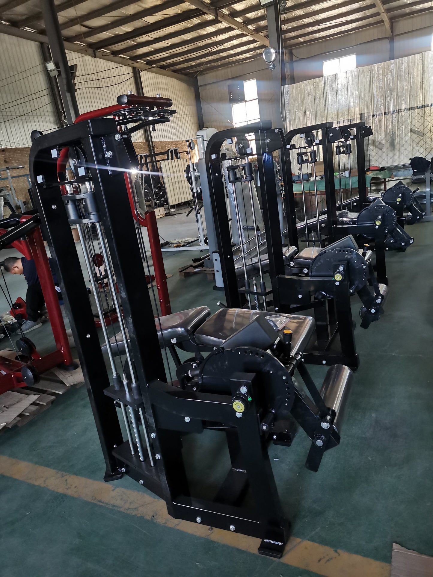 Pro-Line Series Dual Seated/ Prone Lying Leg Curl