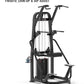 ASSISTED CHIN AND DIP MACHINE FWS-010 PIN LOADED.