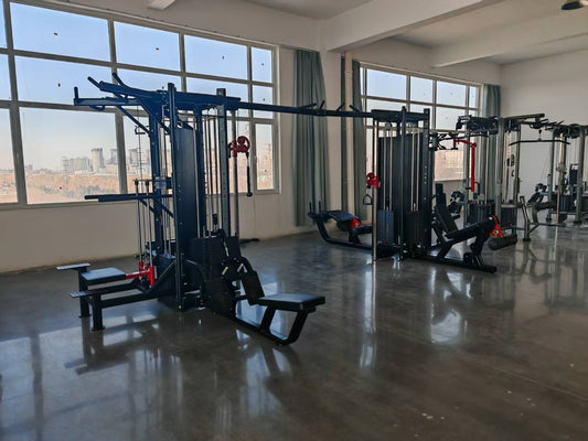 LIFE TREK COMP-PRO 8 WAY MULTI STATION JUNGLE GYM