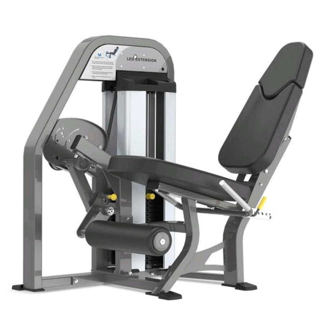 N-SERIES SEATED LEG EXTENSION PIN LOADED