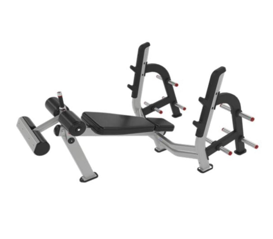 N-SERIES FULL COMMERCAIL DECLINE CHEST PRESS