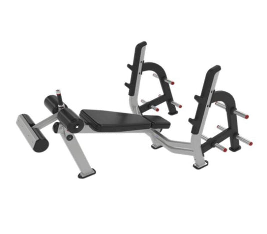 N-SERIES FULL COMMERCAIL DECLINE CHEST PRESS