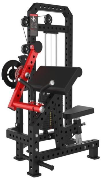 IRON CORE R-SERIES  DUAL BICEPS/TRICEPS EXTENSION PIN LOADED