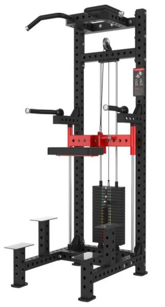 IRON CORE R-SERIES ASSISTED CHIN & DIP PIN LOADED