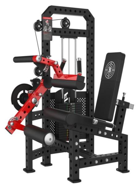 IRON CORE R-SERIES DUAL LEG EXTENION LEG CURL PIN LOADED