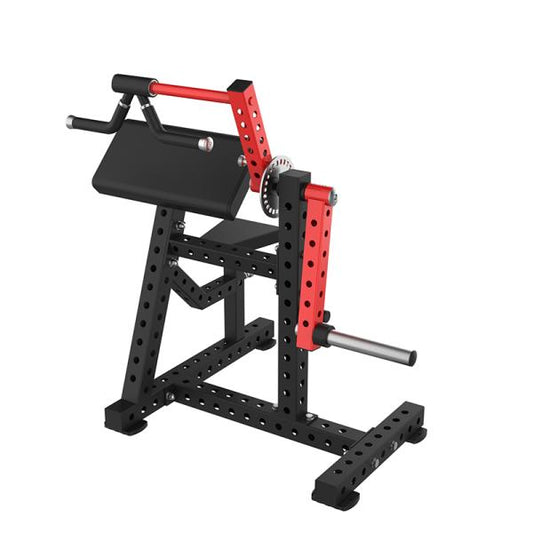 IRON CORE R-SERIES SEATED DUAL BICEP/TRICEP PLATE LOADED