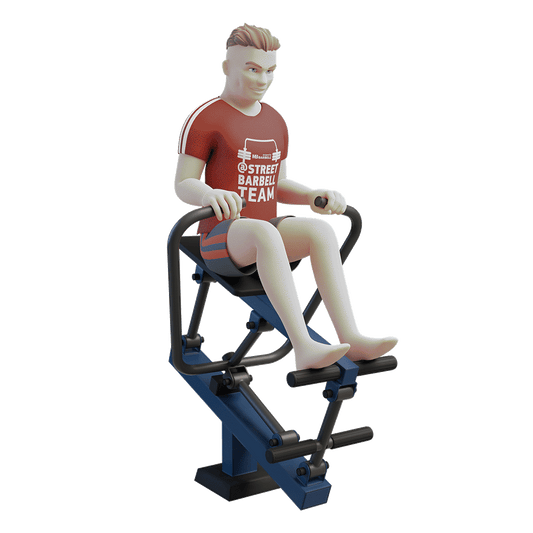 STREETBARBELL OUTDOOR PARK GYM MB 7.10 Rower