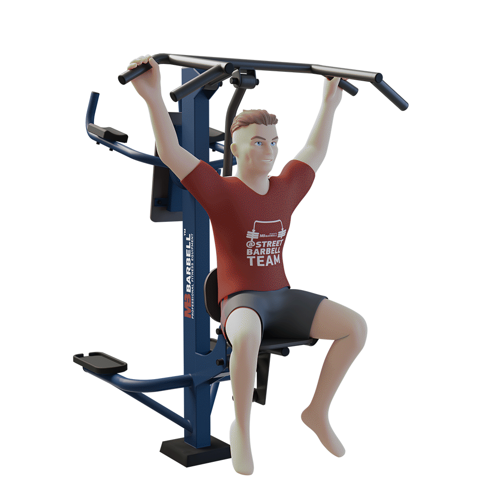 STREETBARBELL OUTDOOR PARK GYM MB 7.03 Combined Pull Down and Leg Raise Station