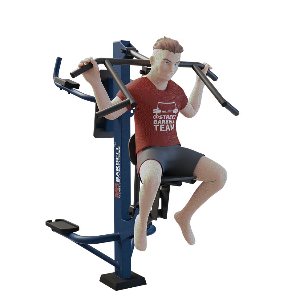 STREETBARBELL OUTDOOR PARK GYM MB 7.03 Combined Pull Down and Leg Raise Station