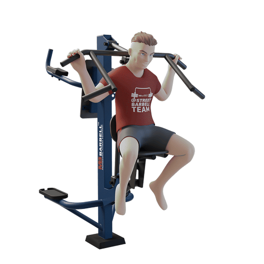 STREETBARBELL OUTDOOR PARK GYM MB 7.03 Combined Pull Down and Leg Raise Station