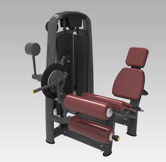 Dual Leg Extension/ Leg Curl Seated Full Commercial