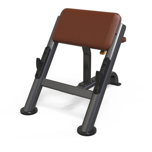 PREACHER CURL BENCH SEATED